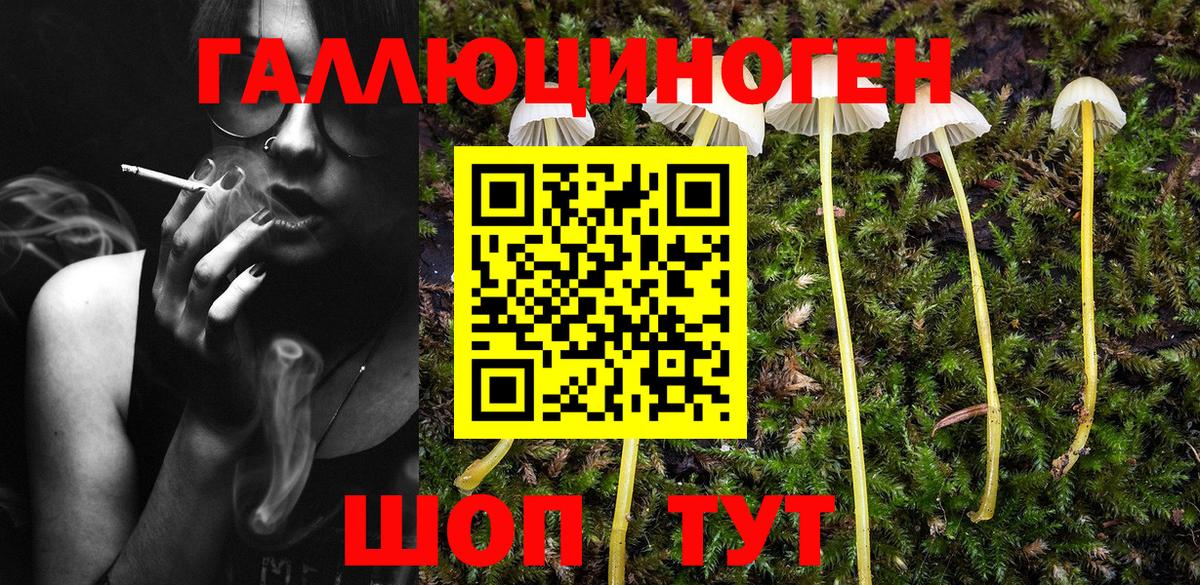 Галлюциногенные грибы Magic Shrooms Ревда